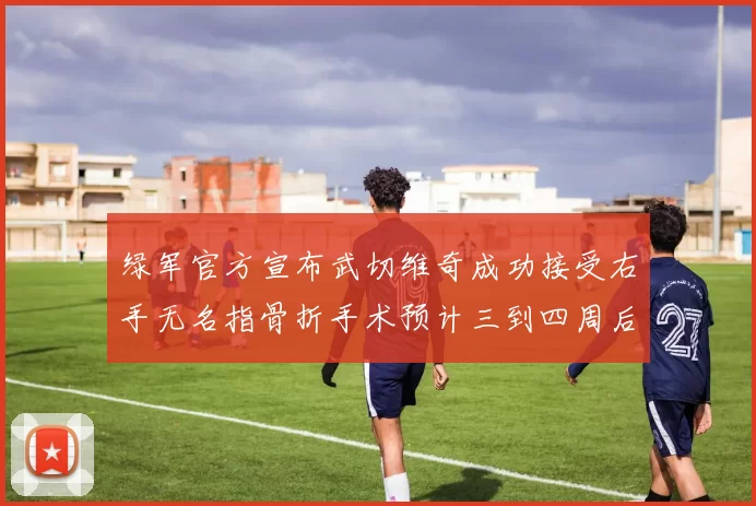 绿军官方宣布武切维奇成功接受右手无名指骨折手术预计三到四周后复查